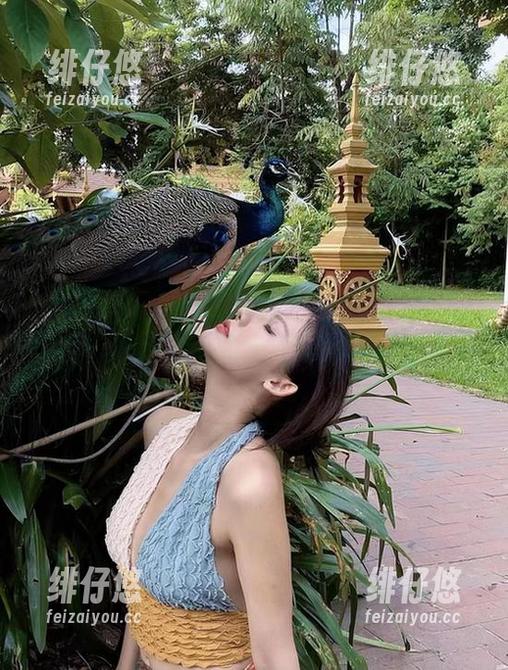 就是阿朱啊 微密圈 - 就是阿朱啊的私拍:孔雀与高启强,联合中医召唤宠幸?