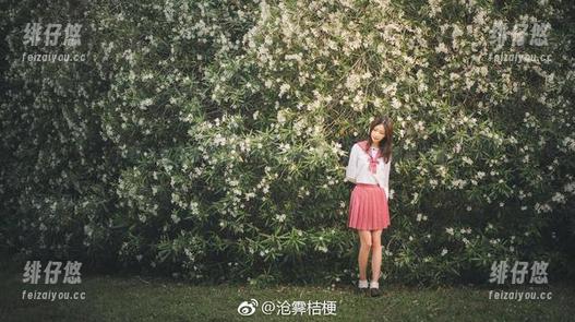 下载这套麻衣学姐，沧霁桔梗说，你值得拥有它哦！