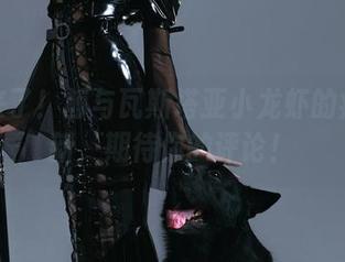 套图来了！鲸与瓦斯塔亚小龙虾的疯狂更新，期待你的评论！